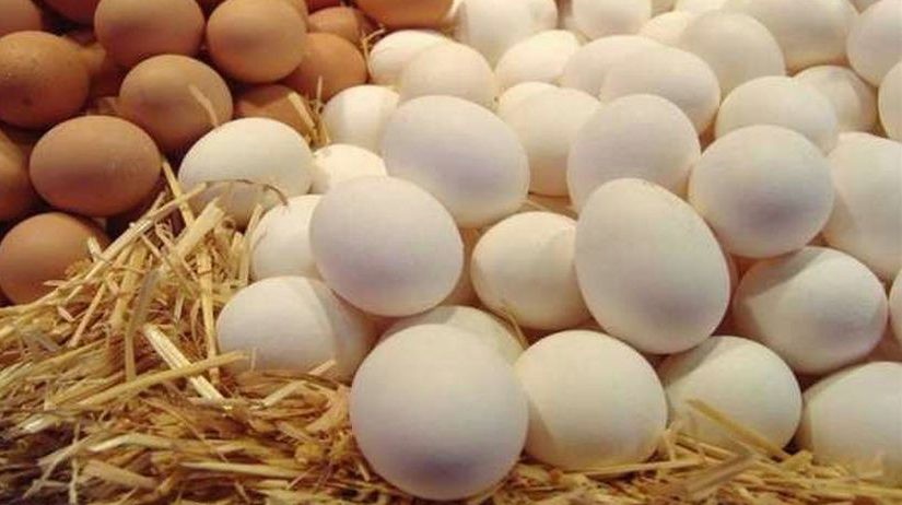 اسعار البيض اليوم3